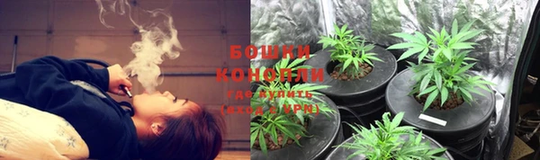 крисы Новокубанск