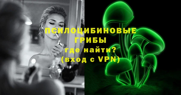 крисы Новокубанск