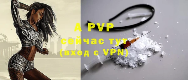 крисы Новокубанск