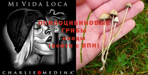 крисы Новокубанск