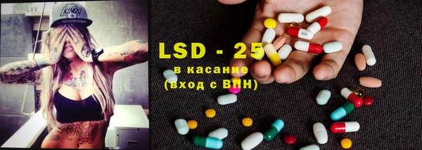 крисы Новокубанск