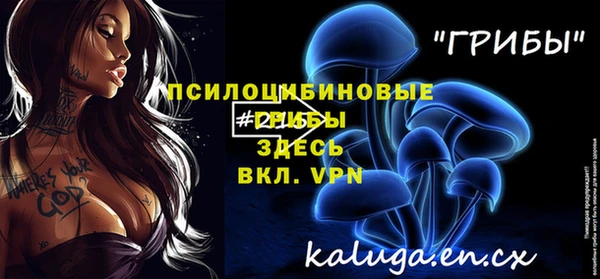 крисы Новокубанск
